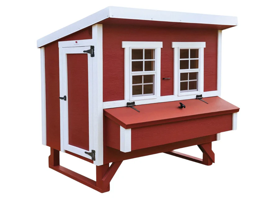 Chicken Coop