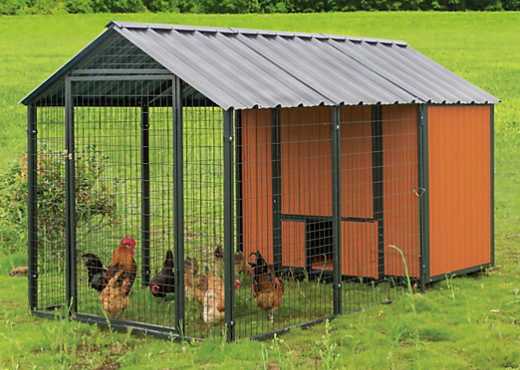 Chicken Coop