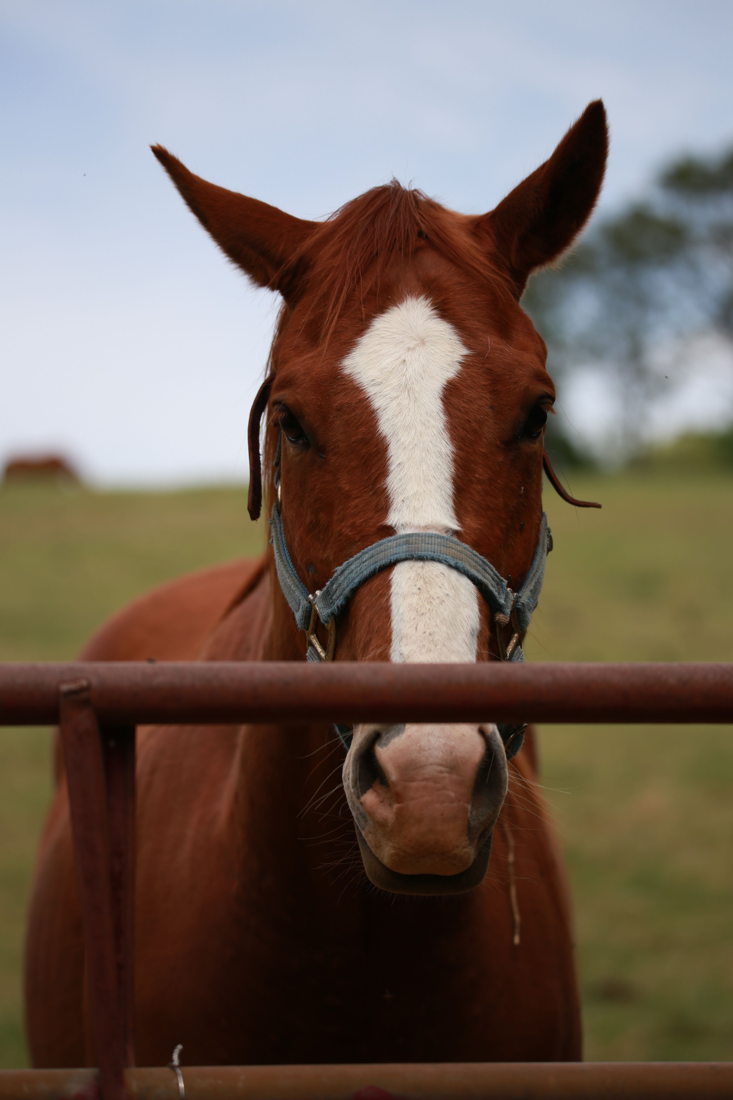 Farm photo
