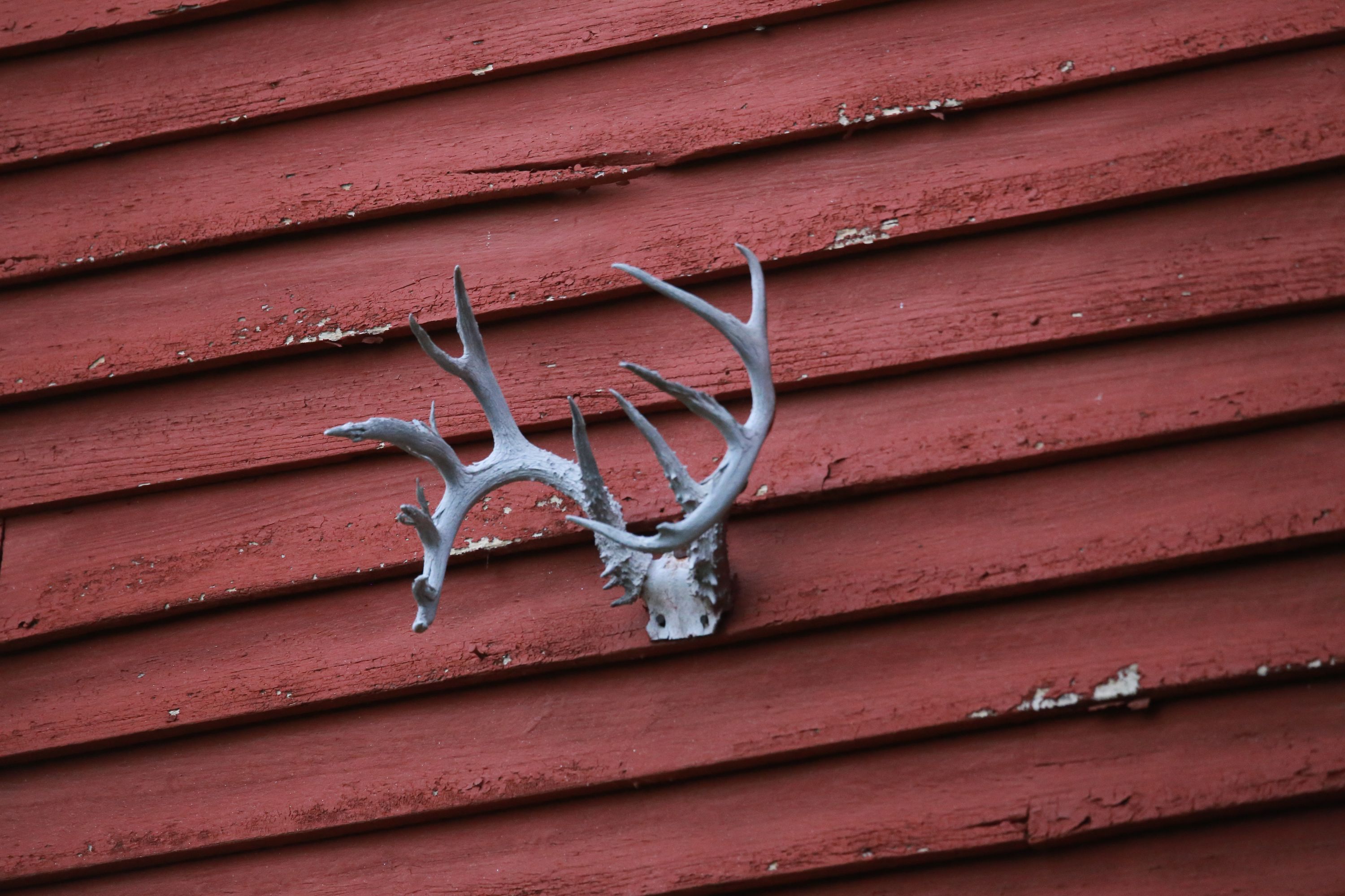 Farm photo