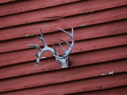 Farm photo